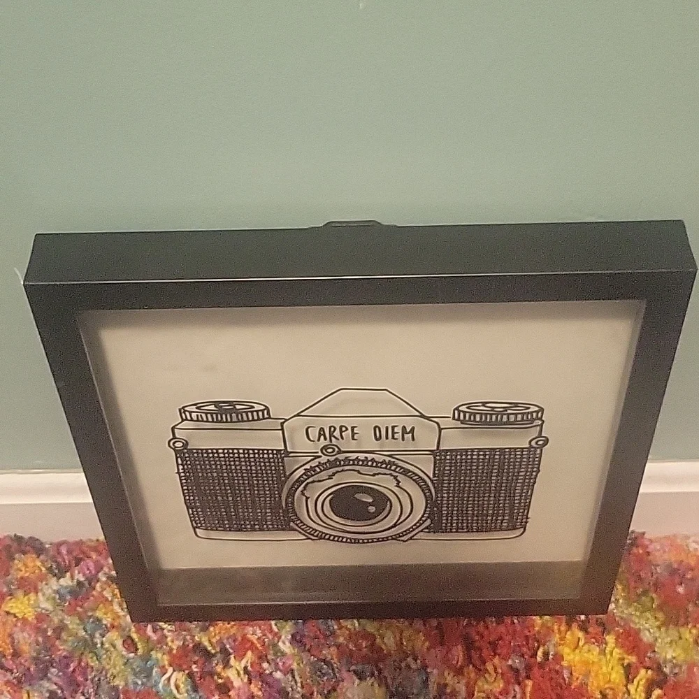 Unbranded Capre Diem Shadow Box Style Wall Decor 12x12